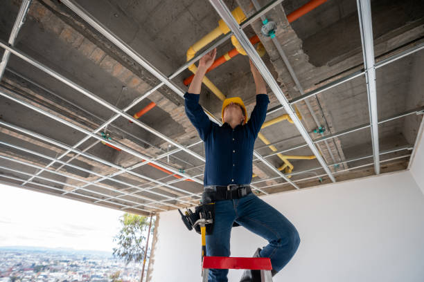 Best Plumbing Inspection Services  in Eldridge, IA