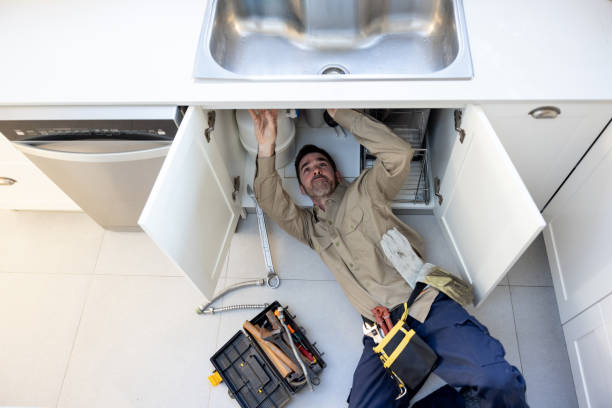 Best Emergency Plumber  in Eldridge, IA
