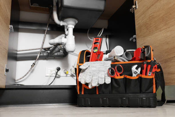 Best Local Plumber Services  in Eldridge, IA