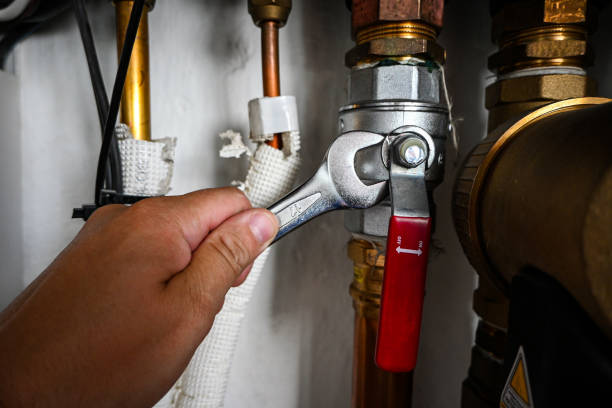 Best Toilet Repair Services  in Eldridge, IA